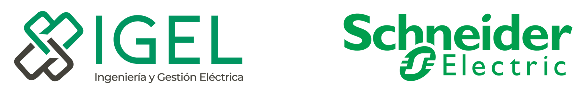igel_schneider_logo